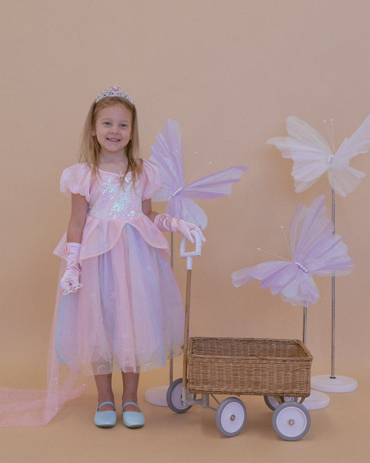 Magical Fairy Princess Dress